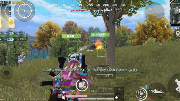 和平精英辅助《海贼王》